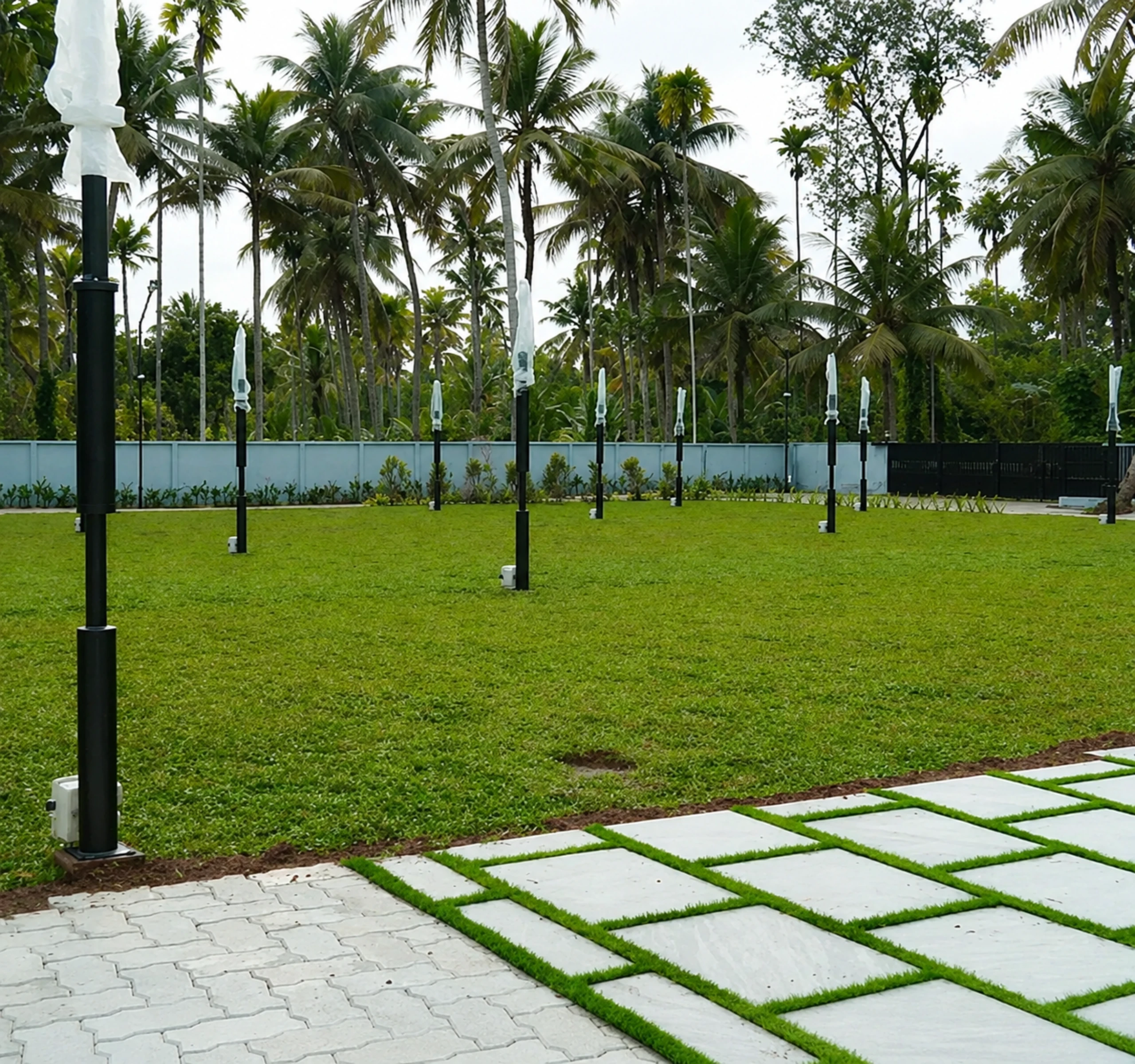 Palm-lined open lawn